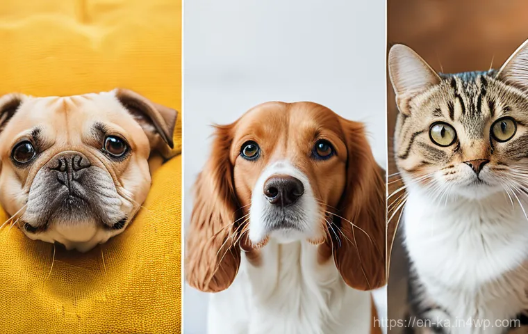 자연 처방 제도와 동물 치료법 - Here are three image prompts based on the provided text, focusing on natural pet care and adhering t...